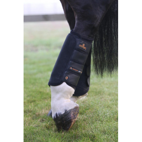 Guetre Air Tech Eventing posteriores Kentucky