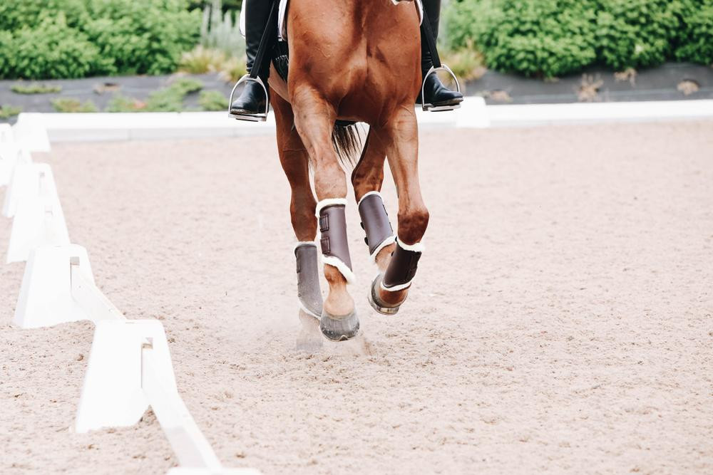 Guéretas fechadas de couro anteriores Kentucky Preto