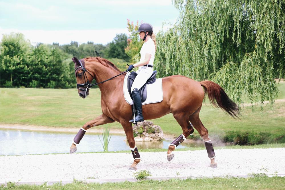 Guéretas fechadas de couro anteriores Kentucky Preto