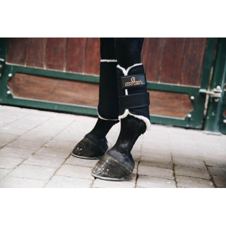 Guélias dianteiras fechadas Solimbra Kentucky