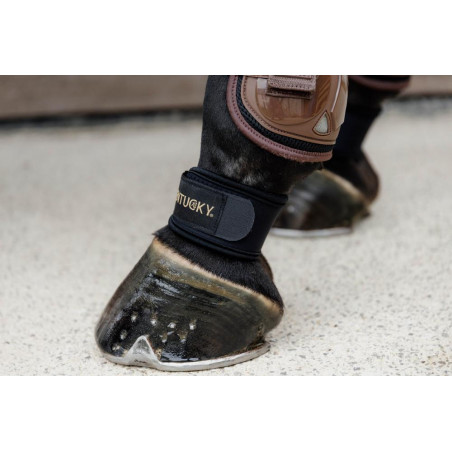 Protetor de boleto Kentucky