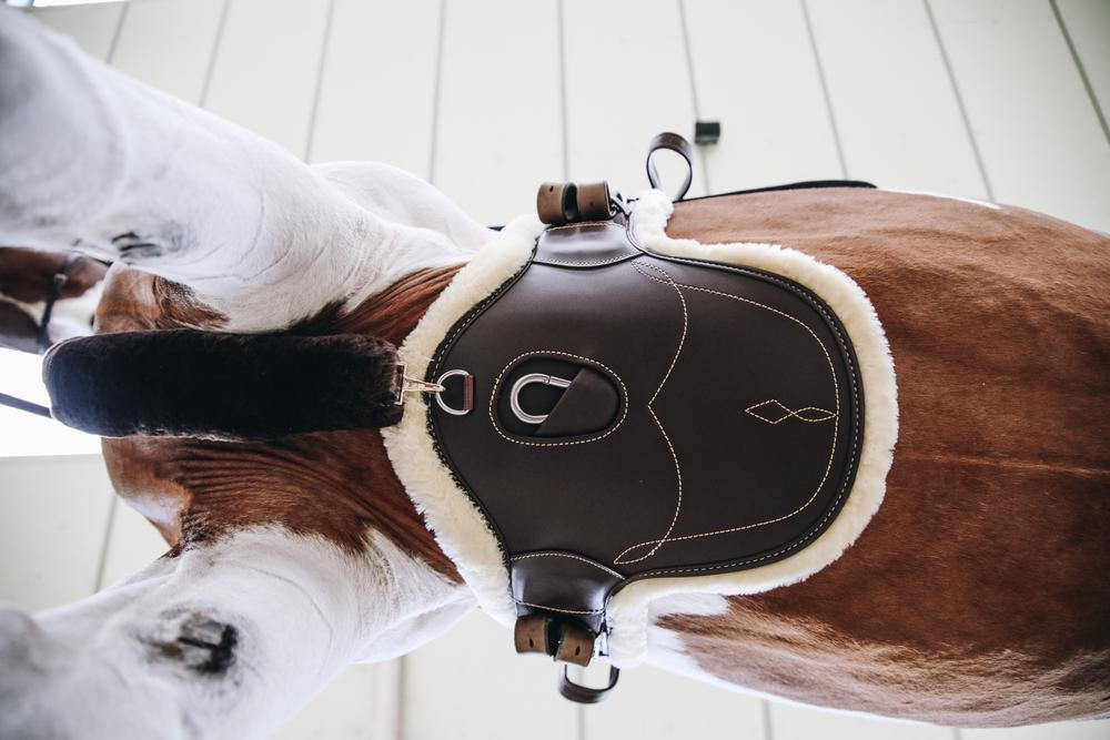 Cilhadura de peito curta com lã Kentucky Castanho Cilhadura de peito curta com lã Kentucky Castanho