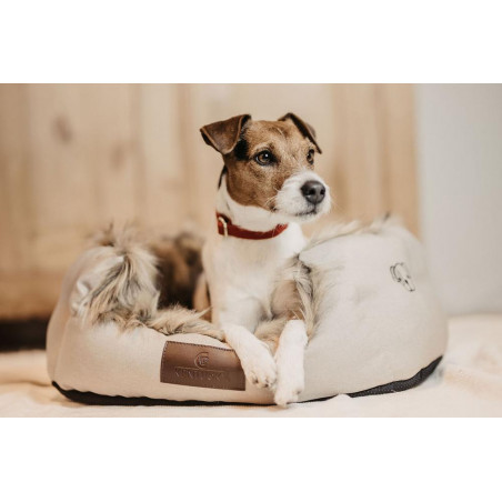 Coleira para cão Corduroy Kentucky