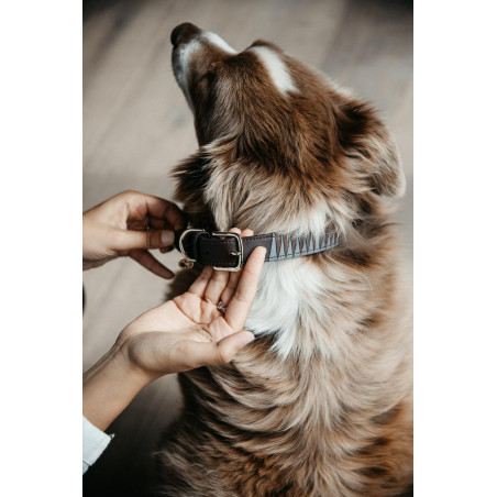 Coleira para cão Triangle Kentucky