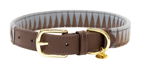 Coleira para cão Triangle Kentucky Castanho