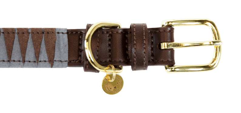 Coleira para cão Triangle Kentucky Castanho