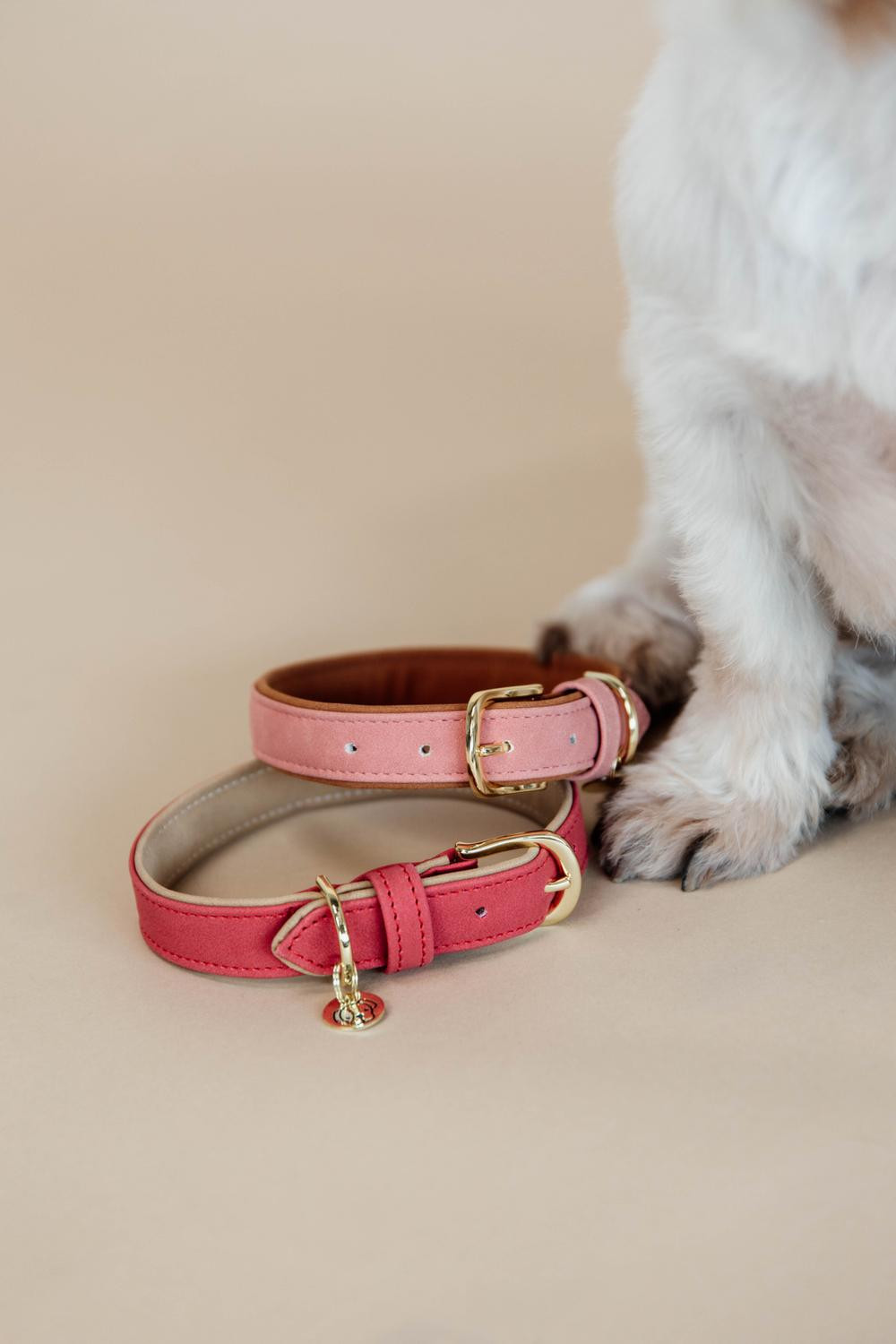 Coleira para cão Vegan Leather Kentucky Pêssego Rosa