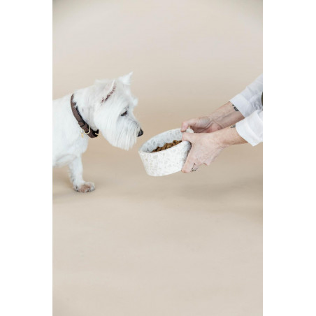 Tigela para cão em pedra Terrazzo Kentucky