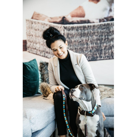 Trela para cão em contas feitas à mão Kentucky