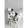 Trela para cão Jacquard Kentucky - Rosa