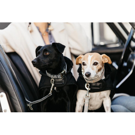 Trela para cão Pied-de-poule Kentucky