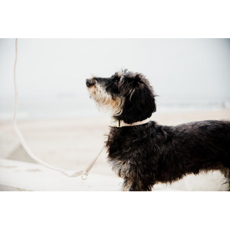 Trela curta de lã para cão Kentucky