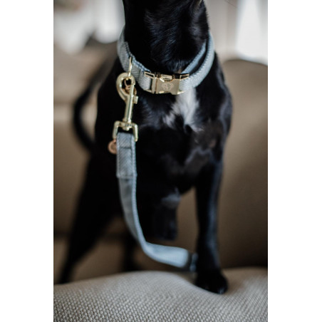 Trela para cão Wool Longa Kentucky