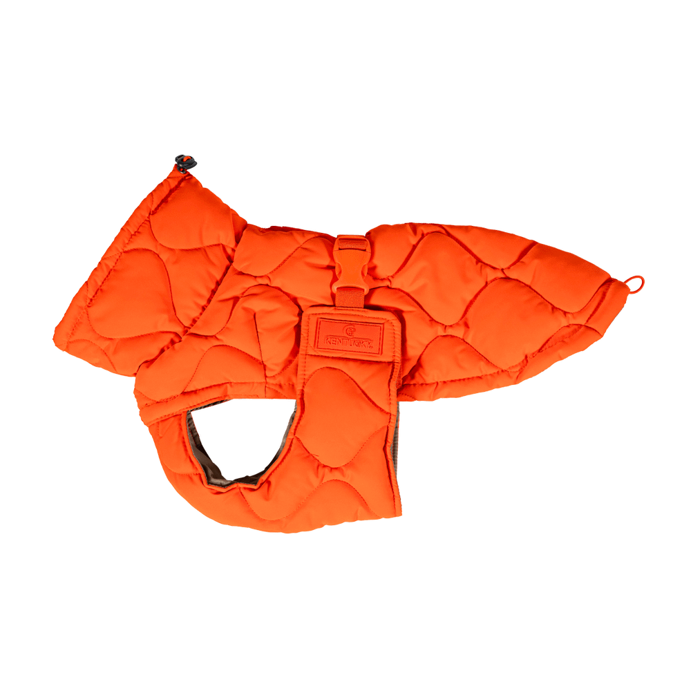 Casaco de inverno para cão Pina Kentucky Laranja Casaco de inverno para cão Pina Kentucky Laranja