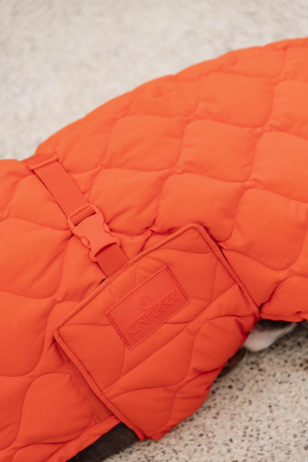 Casaco de inverno para cão Pina Kentucky Laranja Casaco de inverno para cão Pina Kentucky Laranja