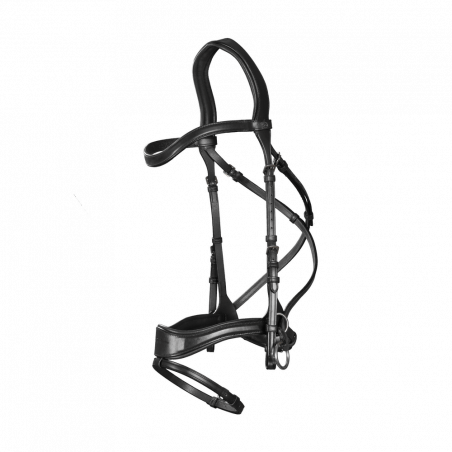 Bridão D Motion New English Collection by Dy'on