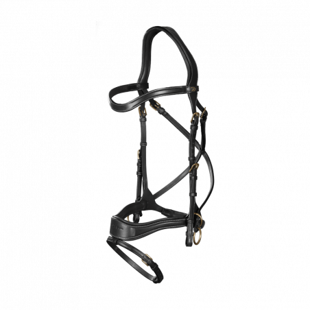 Bridão D Motion D Collection by Dy'on