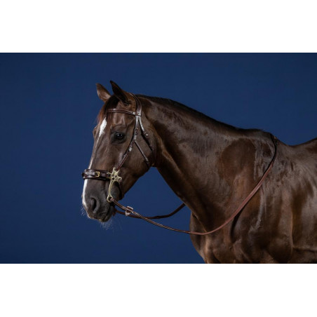 Bridão Hackamore Coleção US da Dy'on