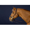 Bridon Hackamore D Collection by Dy'on - Castanho