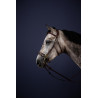 Bridon Hackamore New English Collection da Dy'on - Castanho
