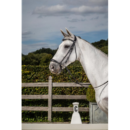 Bridão Muserola Alemã New English Collection by Dy'on