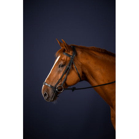 Bridão Muserola Alemã Ajustável New English Collection by Dy'on