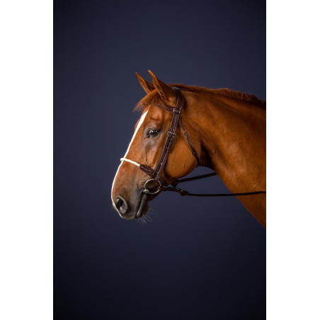 Bridão Muserola Corda New English Collection by Dy'on