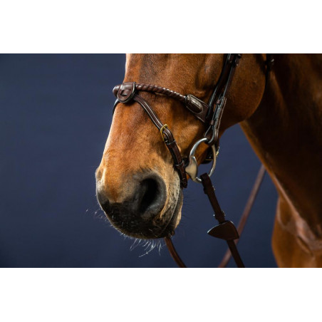 Bridão Muserola Corda Revestida de Couro D Collection by Dy'on