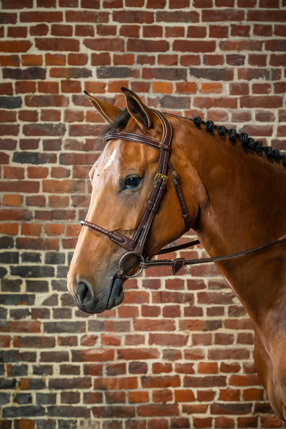 Bridão Muserola Corda Revestida de Couro D Collection by Dy'on Castanho