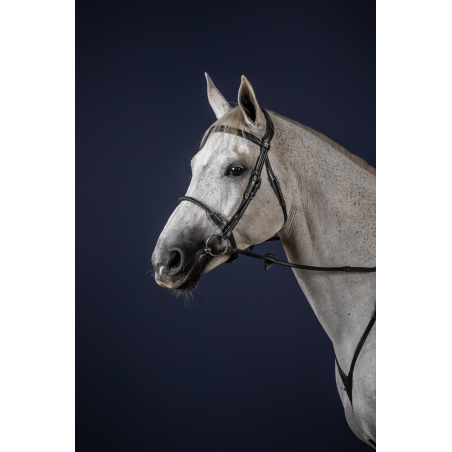 Bridão Muserola Corda Revestida de Couro New English Collection by Dy'on