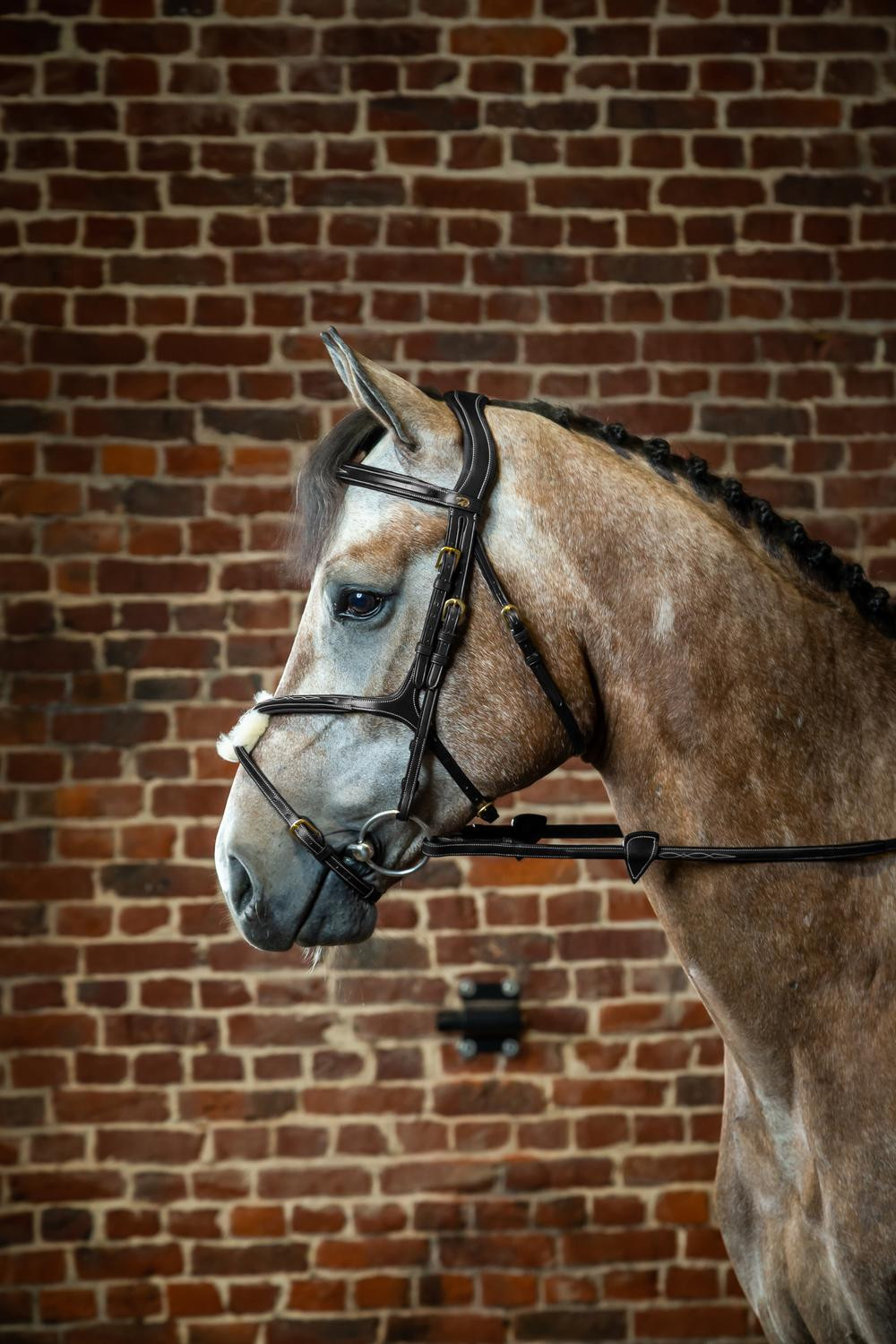 Bridon Muserola Cruzada D Collection by Dy'on Preto Bridon Muserola Cruzada D Collection by Dy'on Preto