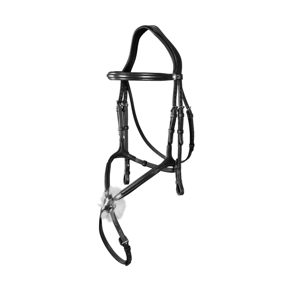 Bridão com Narigueira Cruzada New English Collection by Dy'on Castanho