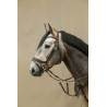 Bridão Working Fit Working By Dy'on - Castanho