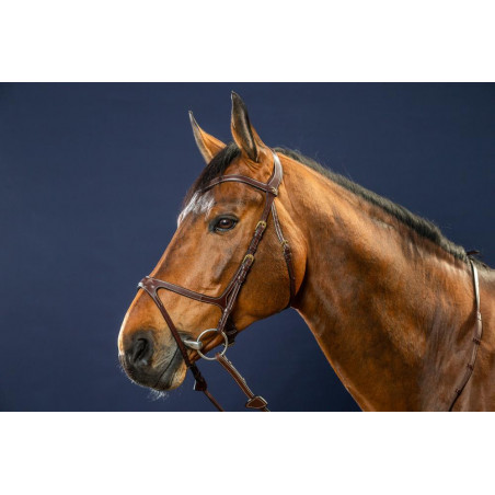 Bridão X-Fit D Collection da Dy'on