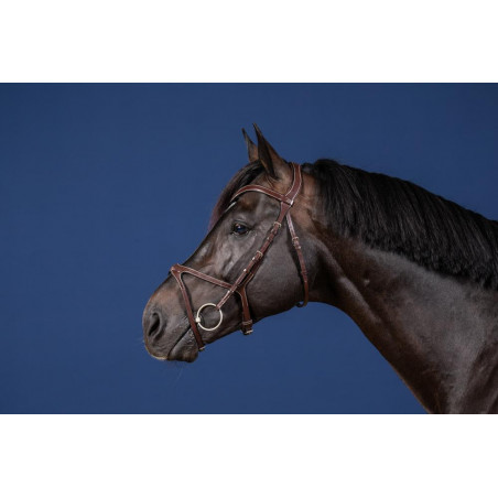 Bridão X-Fit Coleção US da Dy'on