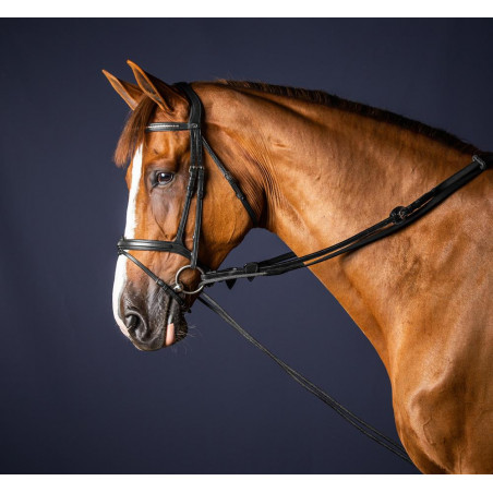 Rendas alemãs em couro/nylon 5/8 New English Collection by Dy'on