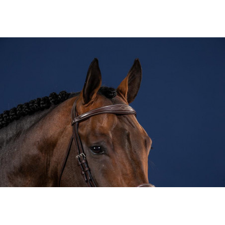 Frontal Direito Anatômico US Collection by Dy'on