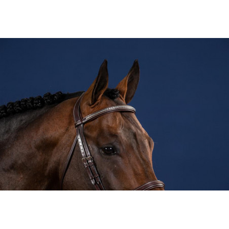 Frontal Direito Clincher Prateado Coleção US da Dy'on