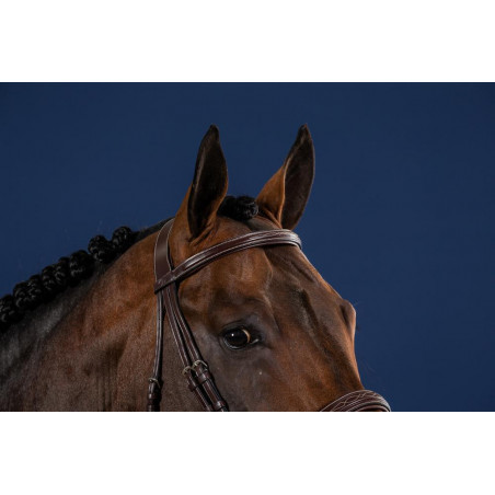 Frontal Direito Sem Pinos Coleção US da Dy'on