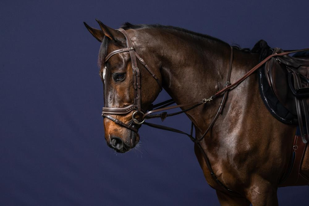 Rendas Howlett Borracha 1/2 Com 7 Paradores Working By Dy'on Preto Rendas Howlett Borracha 1/2 Com 7 Paradores Working By Dy'on Preto