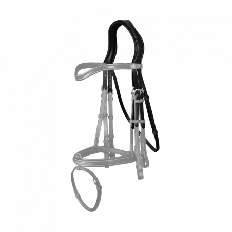 Cabezada Da Embocadura D Collection by Dy'on