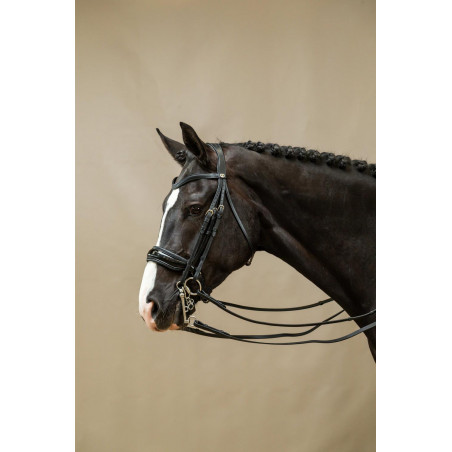 Bridão Muserola Larga Envernizada Working By Dy'on