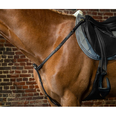 Peitoral D Collection da Dy'on