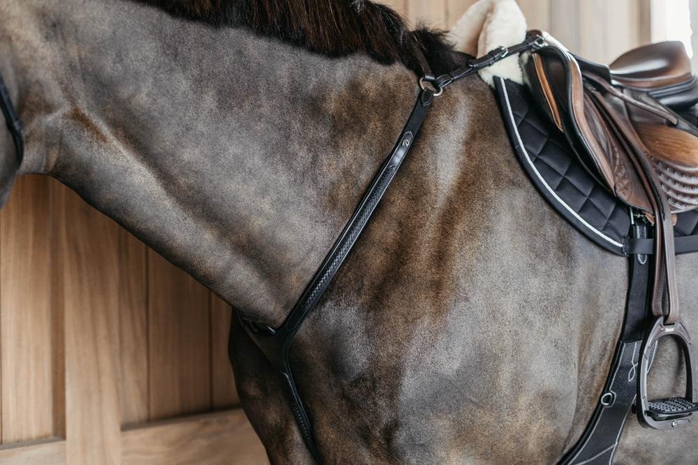 Peitoral com ponte trançada Dy'on Preto Peitoral com ponte trançada Dy'on Preto