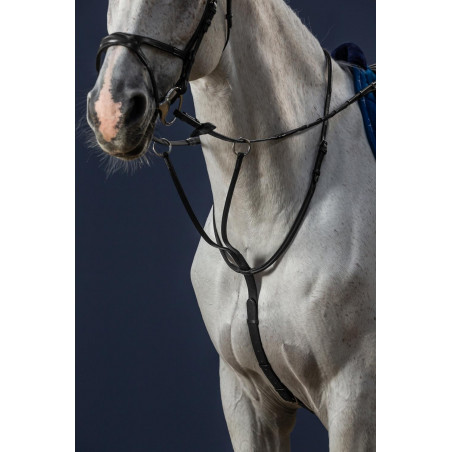 Martingale Com Argolas New English Collection da Dy'on