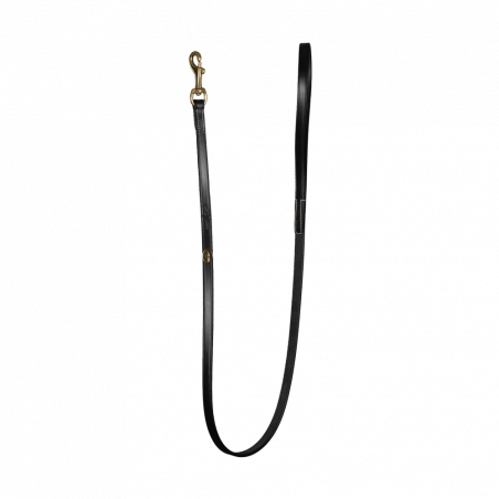 Trela Clássica para Cão Dy'on