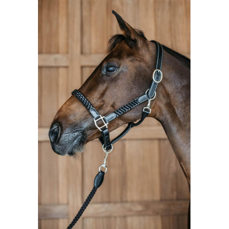 Cabresto trançado Working By Dy'on