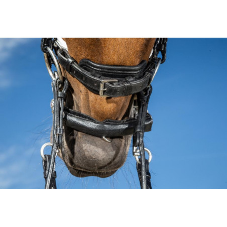 Protetor de barbela com Neoprene Dy'on