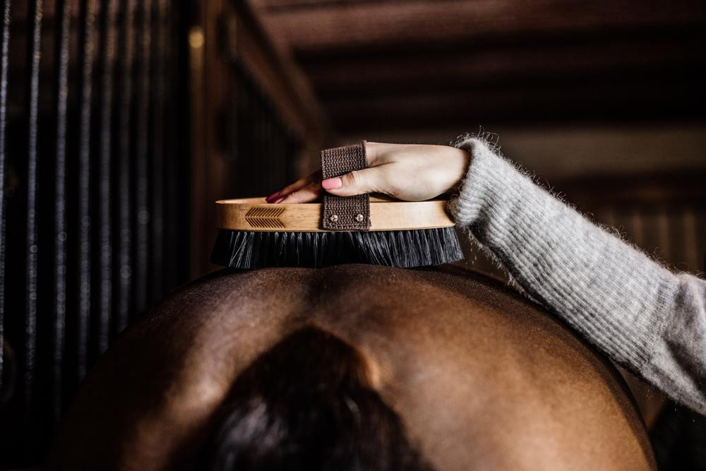 Escova macia com cerdas duras Grooming Deluxe by Kentucky Castanho