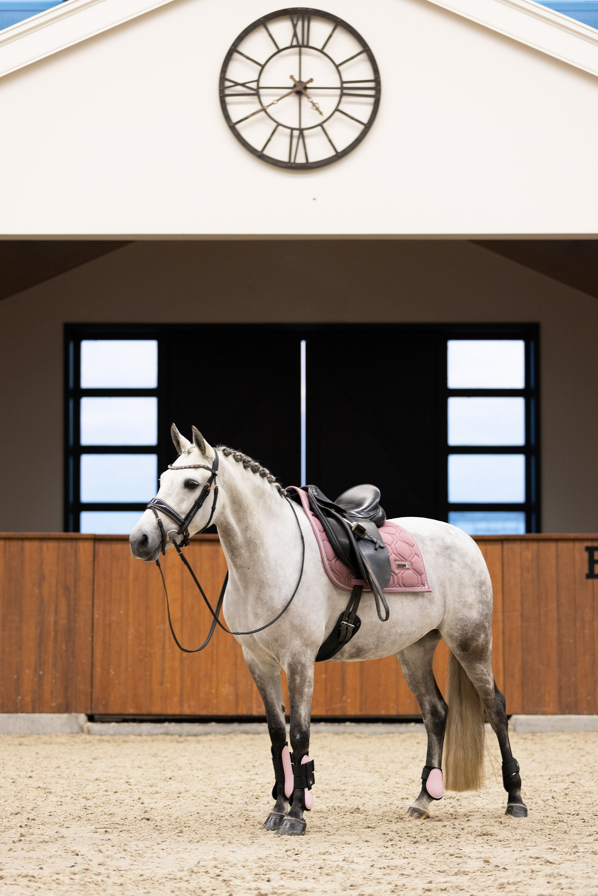 Protetores de boleto Imperial Riding Lovely Branco Protetores de boleto Imperial Riding Lovely Branco